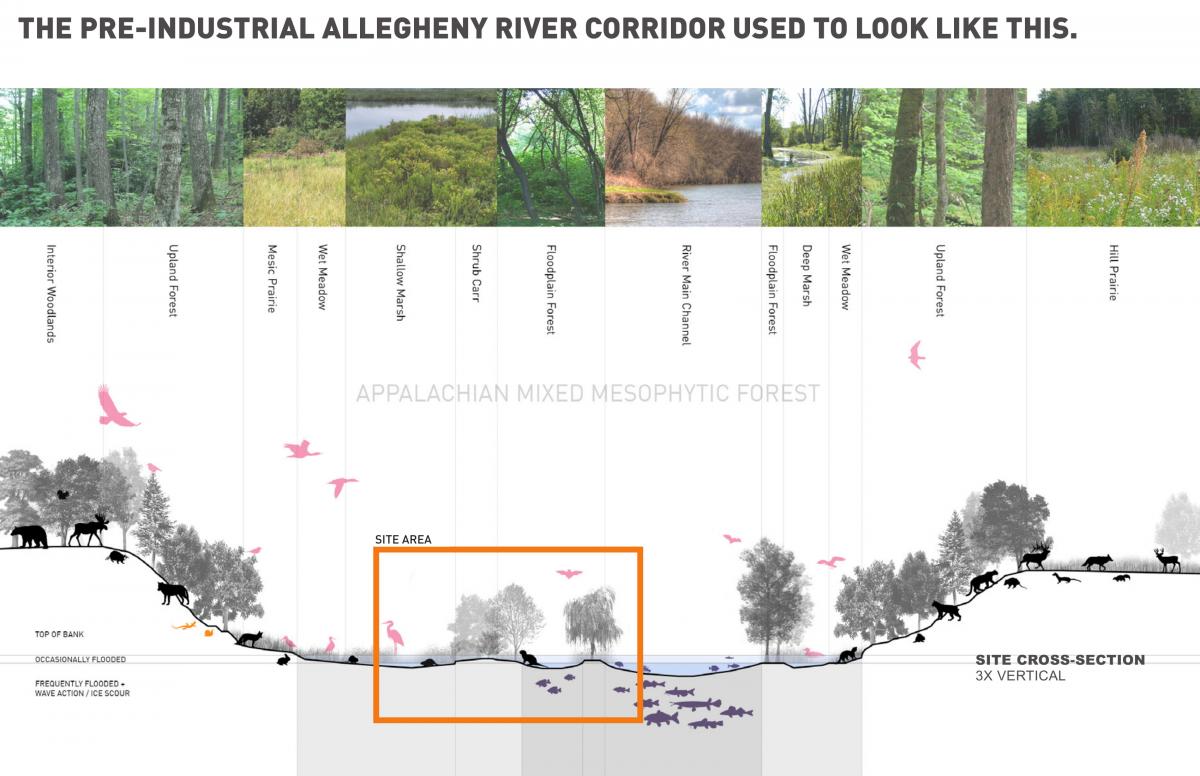 19-05-31 CommunityMeeting Presentation FINAL lores-13