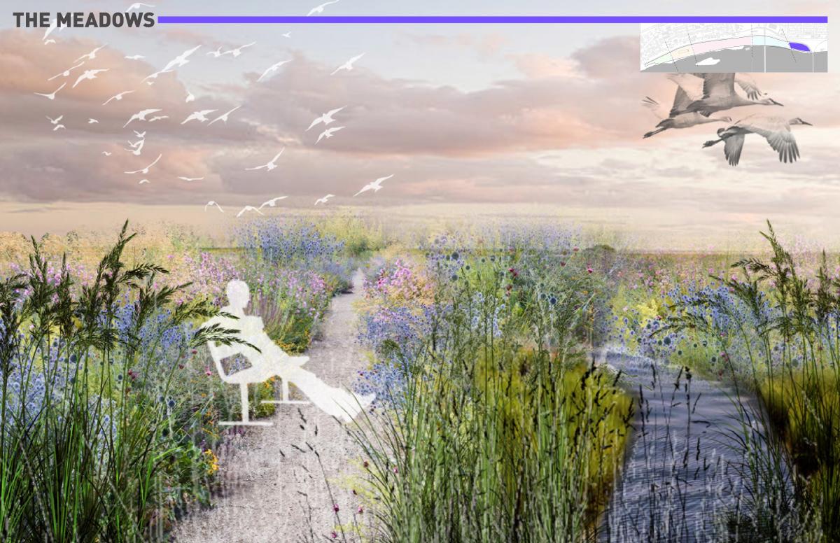 19-05-31 CommunityMeeting Presentation FINAL lores-44